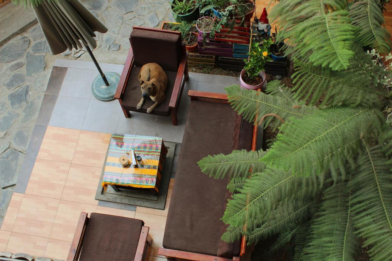 بيت شباب La Casa De Bamboo إِكا المظهر الخارجي الصورة