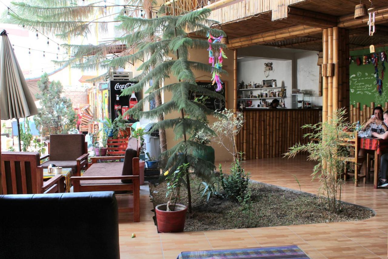 بيت شباب La Casa De Bamboo إِكا المظهر الخارجي الصورة