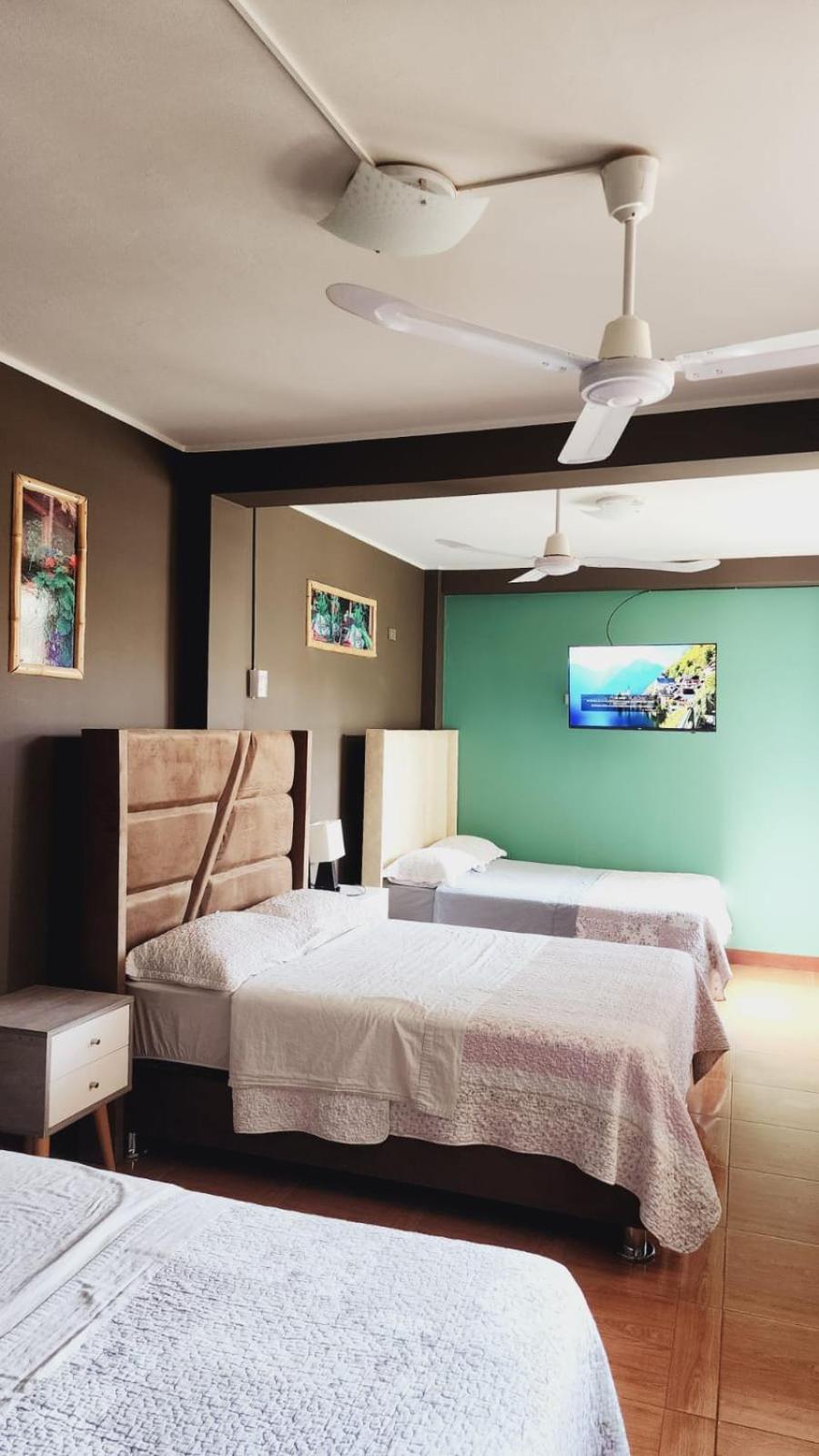 بيت شباب La Casa De Bamboo إِكا المظهر الخارجي الصورة