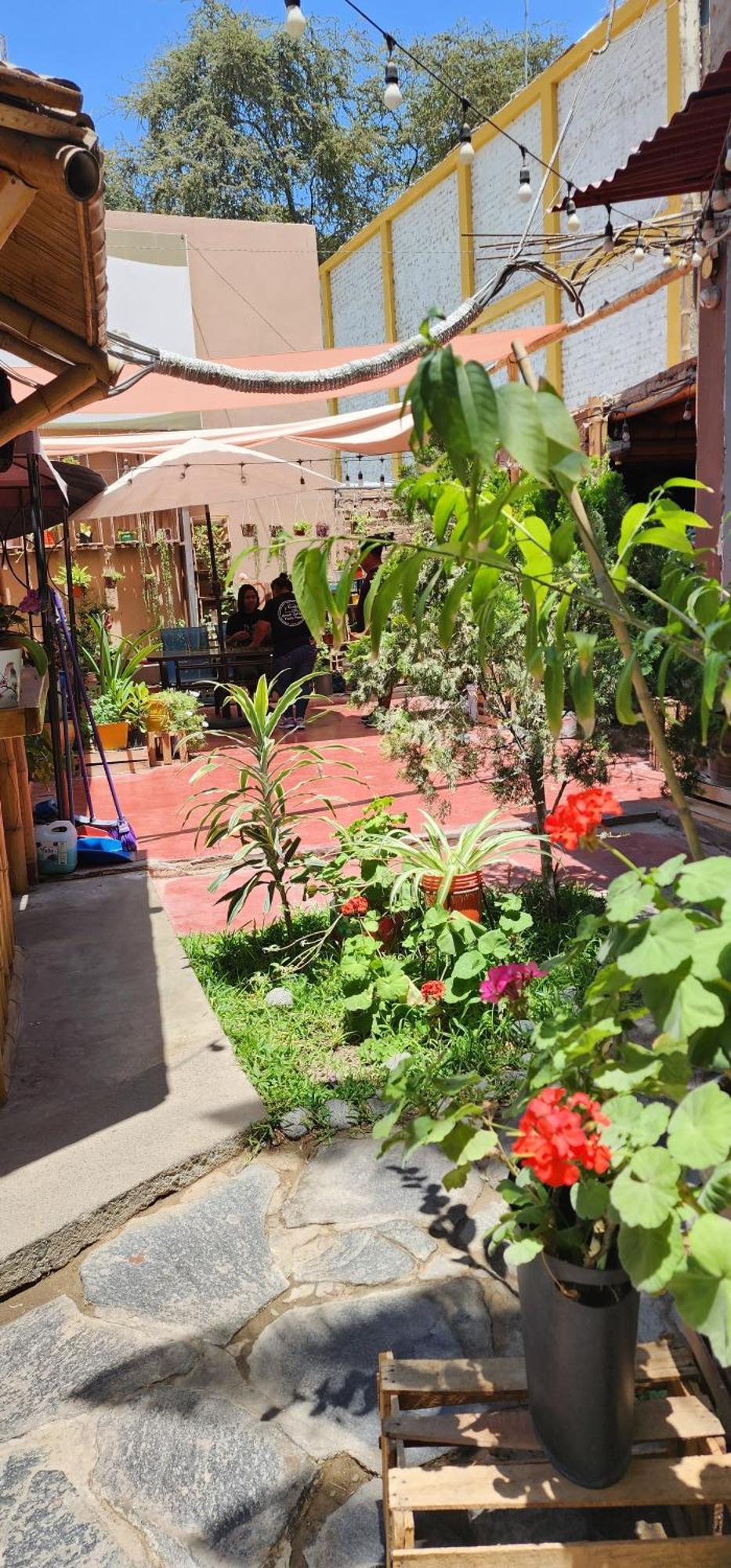 بيت شباب La Casa De Bamboo إِكا المظهر الخارجي الصورة